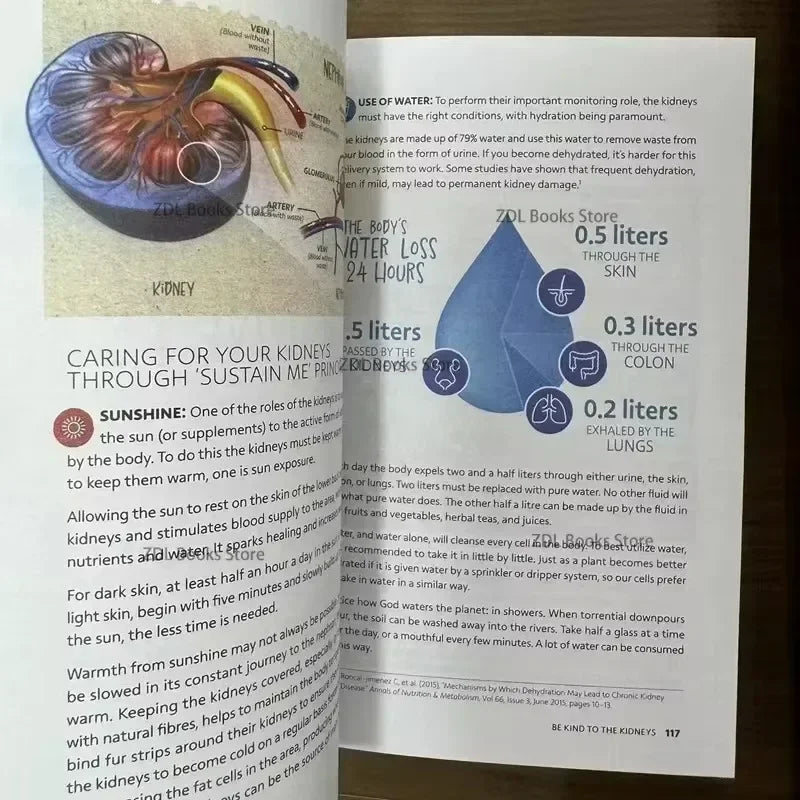 ALLOYSEED Sustainably Guidebook Concerning Natural Remedies For Comprehensive Wellness